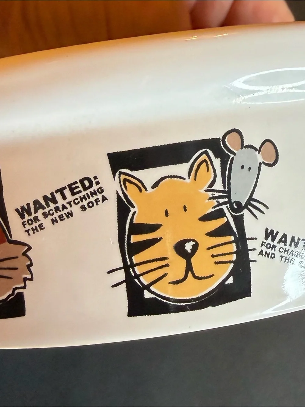 Mug Shots Wanted Stoneware Food Water Cat Bowls By Signature funny pet lowers